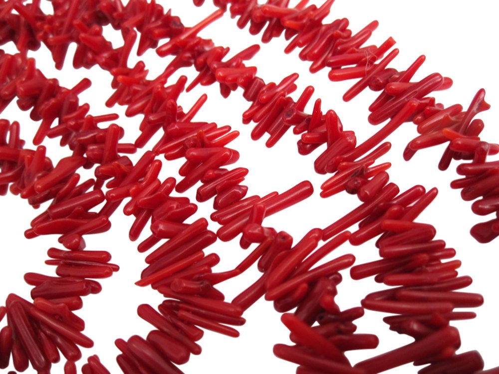 Red Coral Chips