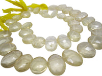 Yellow Quartz