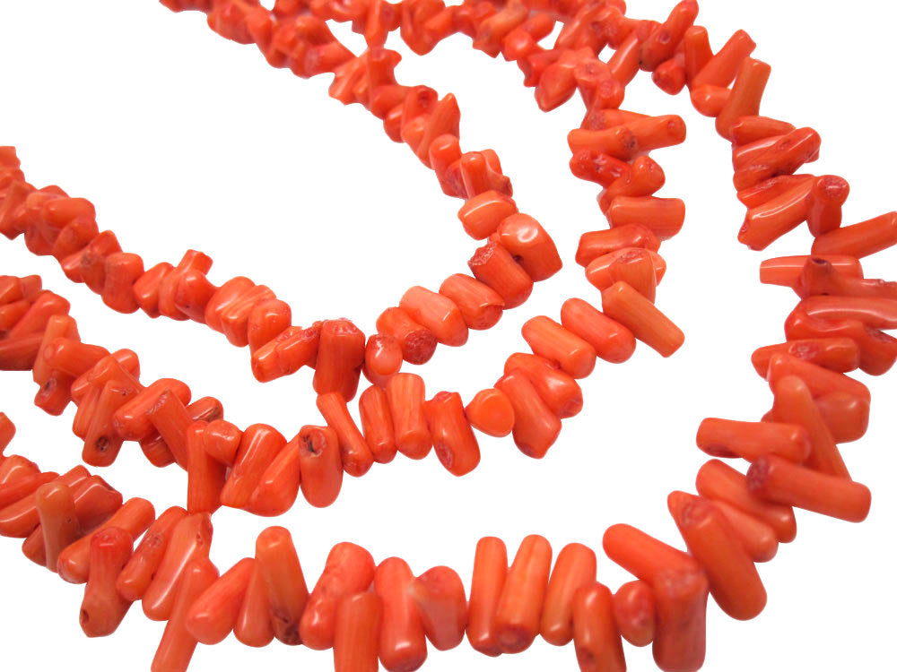 Coral Beads