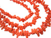 Coral Chips