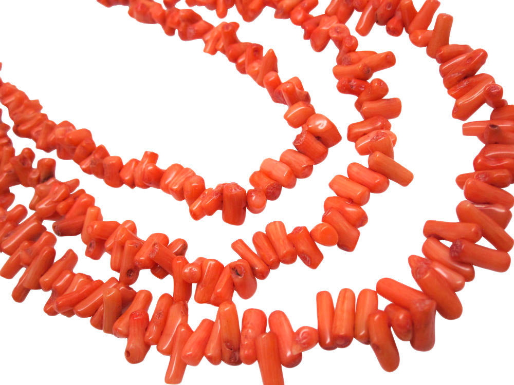 Coral Chips