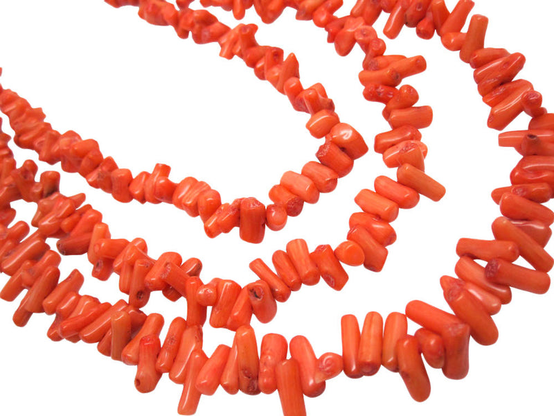 Coral Chips