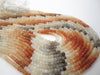 Moonstone Gemstone Beads
