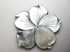 Mother of Pearl Pendant