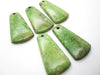 Green Turquoise 